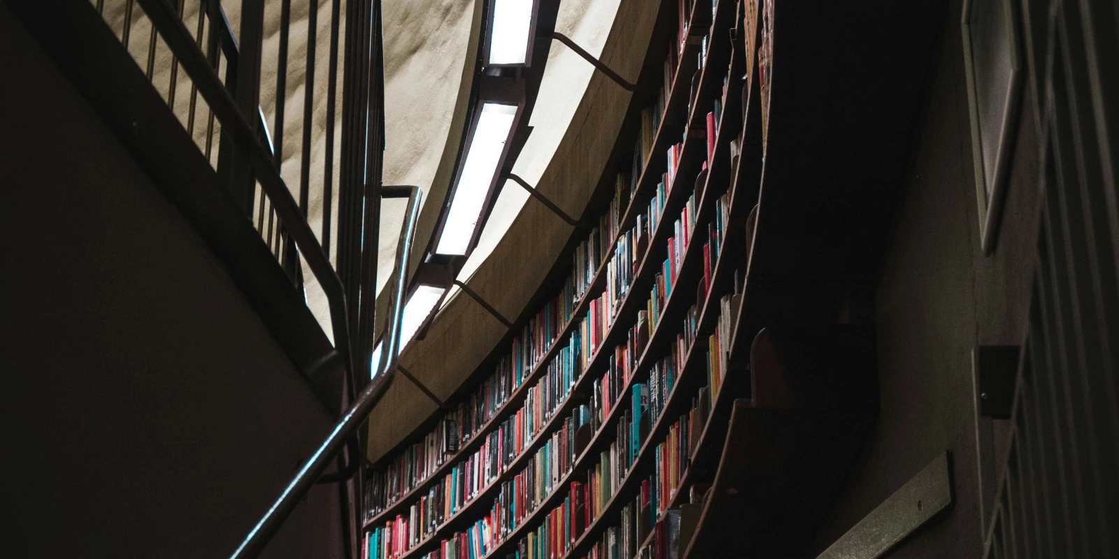 Formation en Sociologie : Cursus et Perspectives