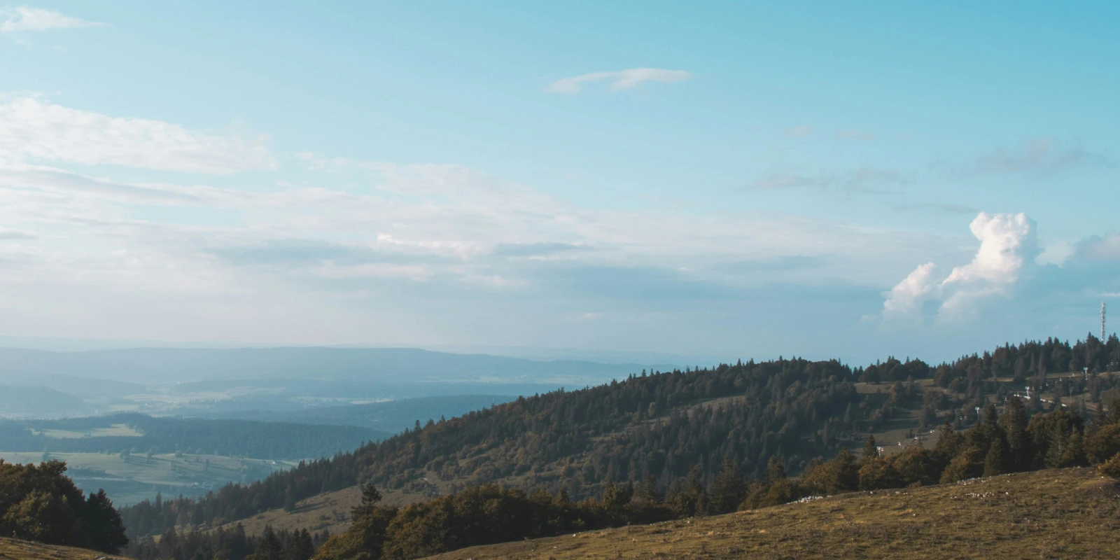 Gestion des Débouchés Après Licence Sociologie