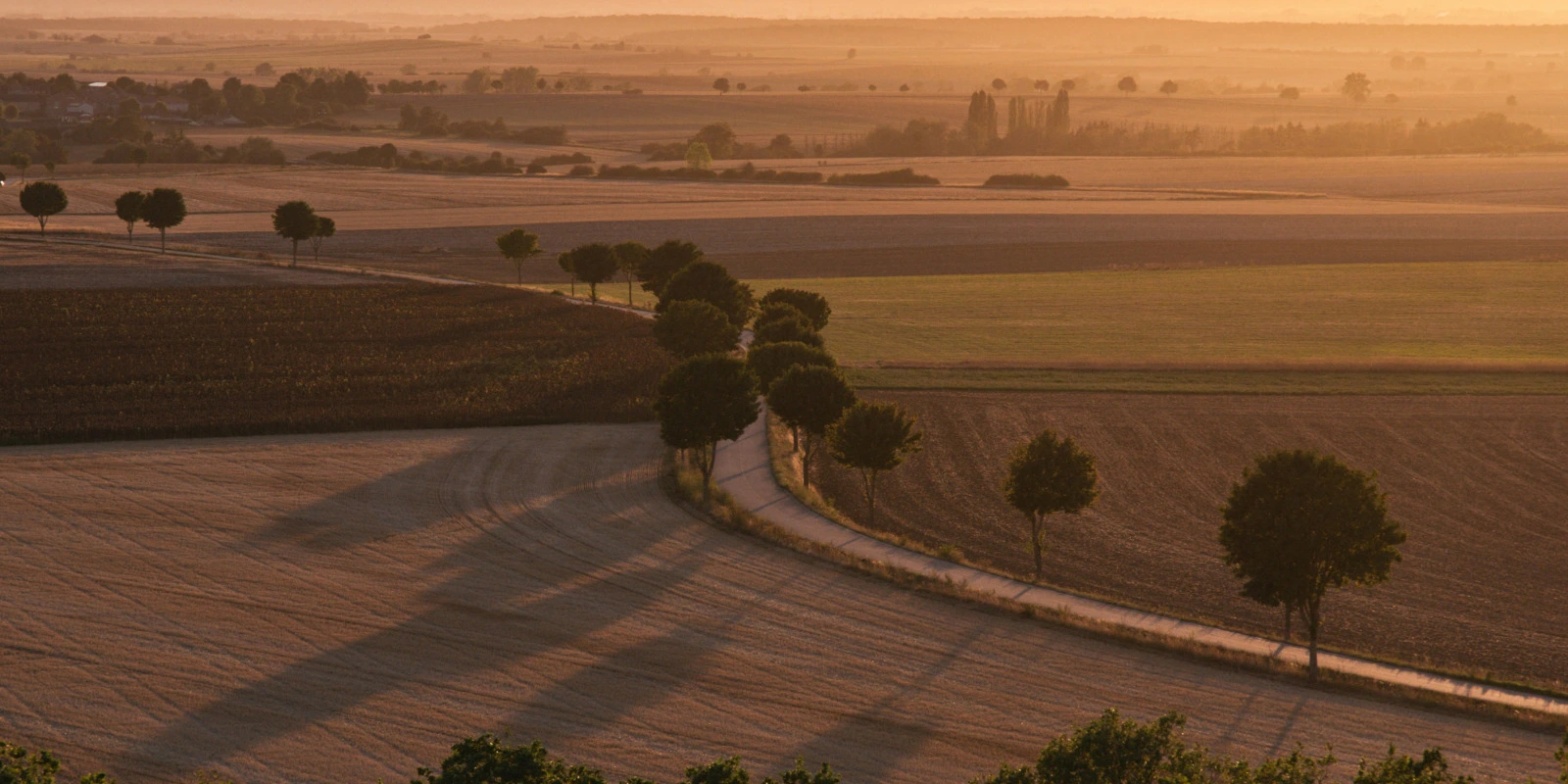 Les Débouchés en Sociologie Quantitative