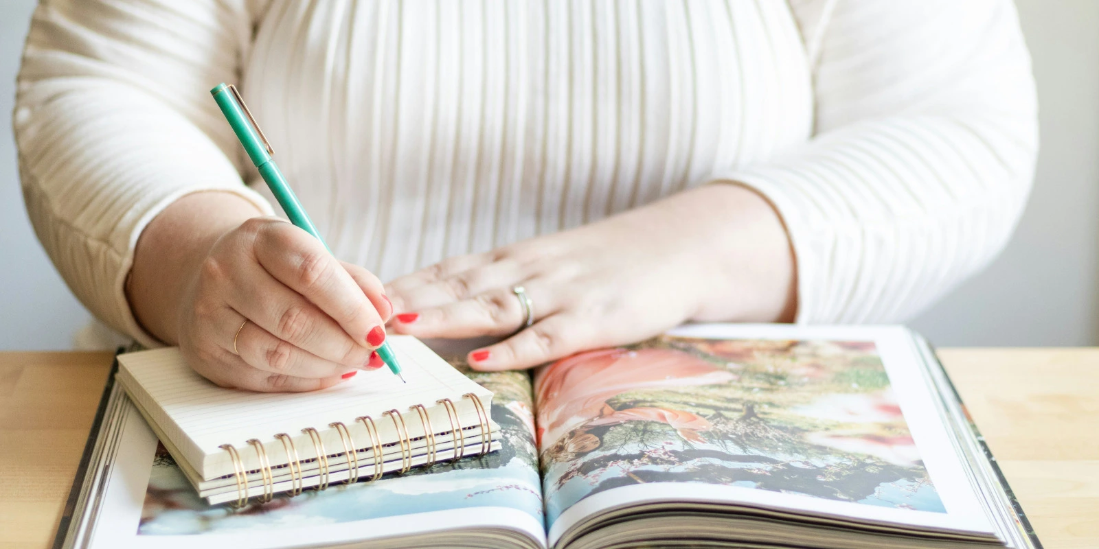 Les Métiers Après une Licence en Sociologie