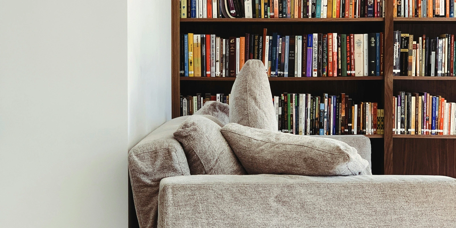 Lettre de Motivation Licence en Sociologie Exemple