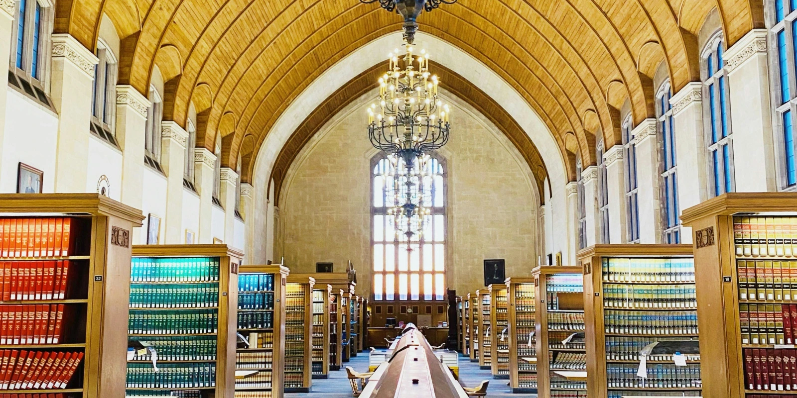 Licence Sociologie en Ligne : Comment Ça Marche ?