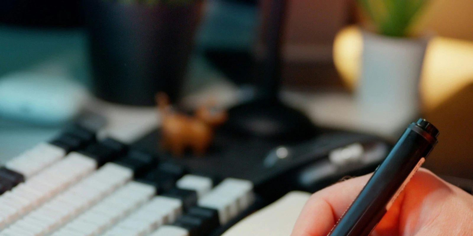 Programme de Licence Sociologie à Distance