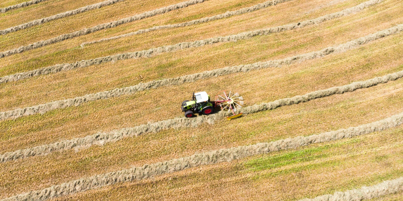 Sociologie et Anthropologie : Domaines Connectés