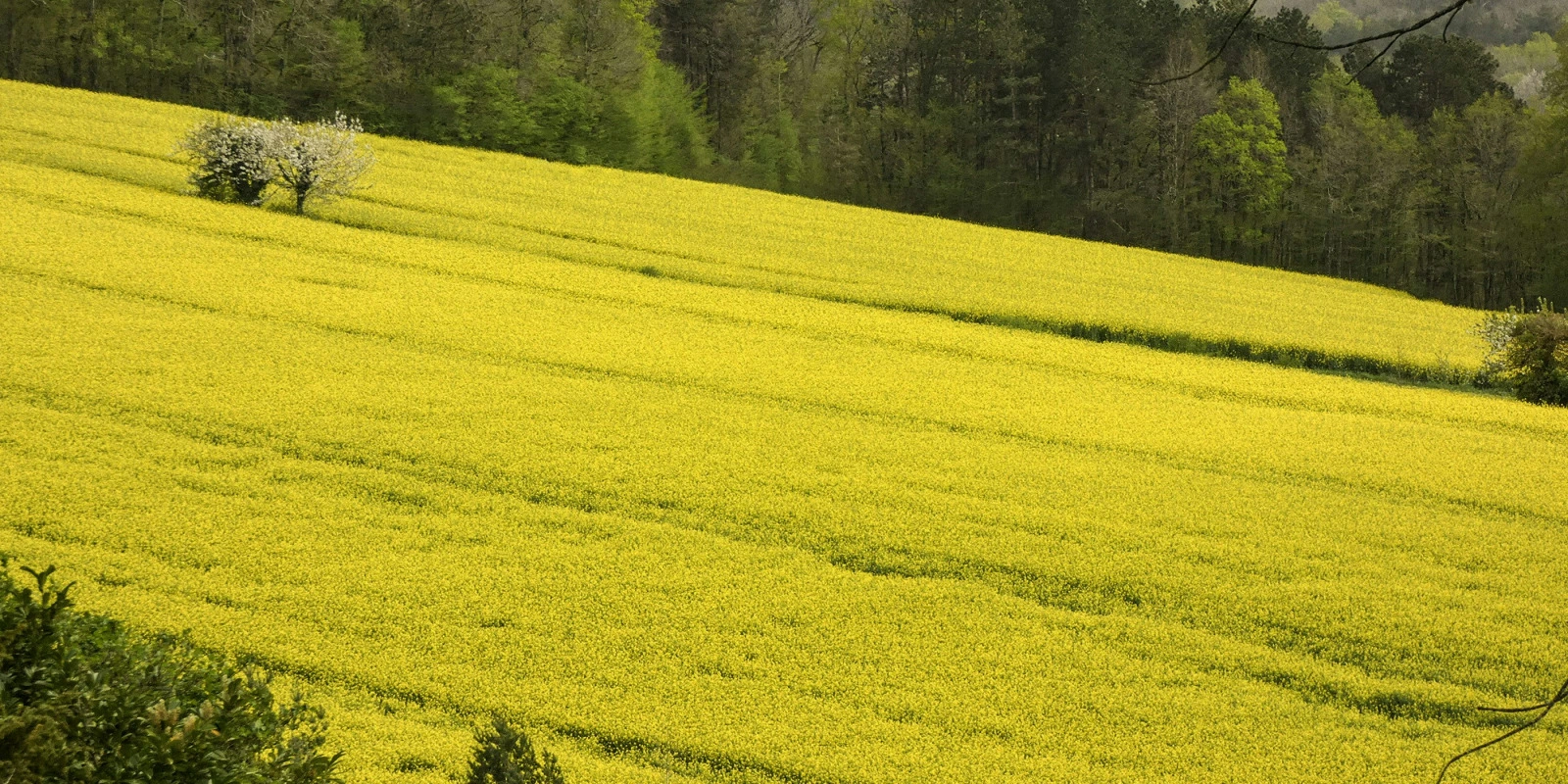 Sociologie et Développement Social : Études et Applications